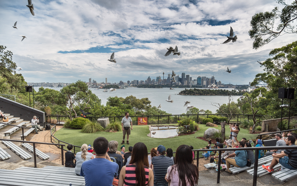 taronga zoo behind the scenes tour